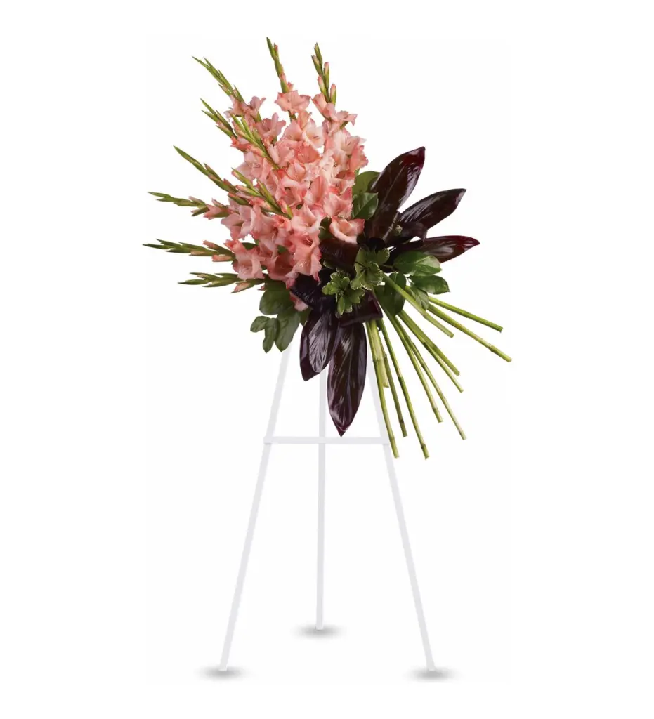 Coral gladiolus standing spray with burgundy leaves and green cane stems on white easel