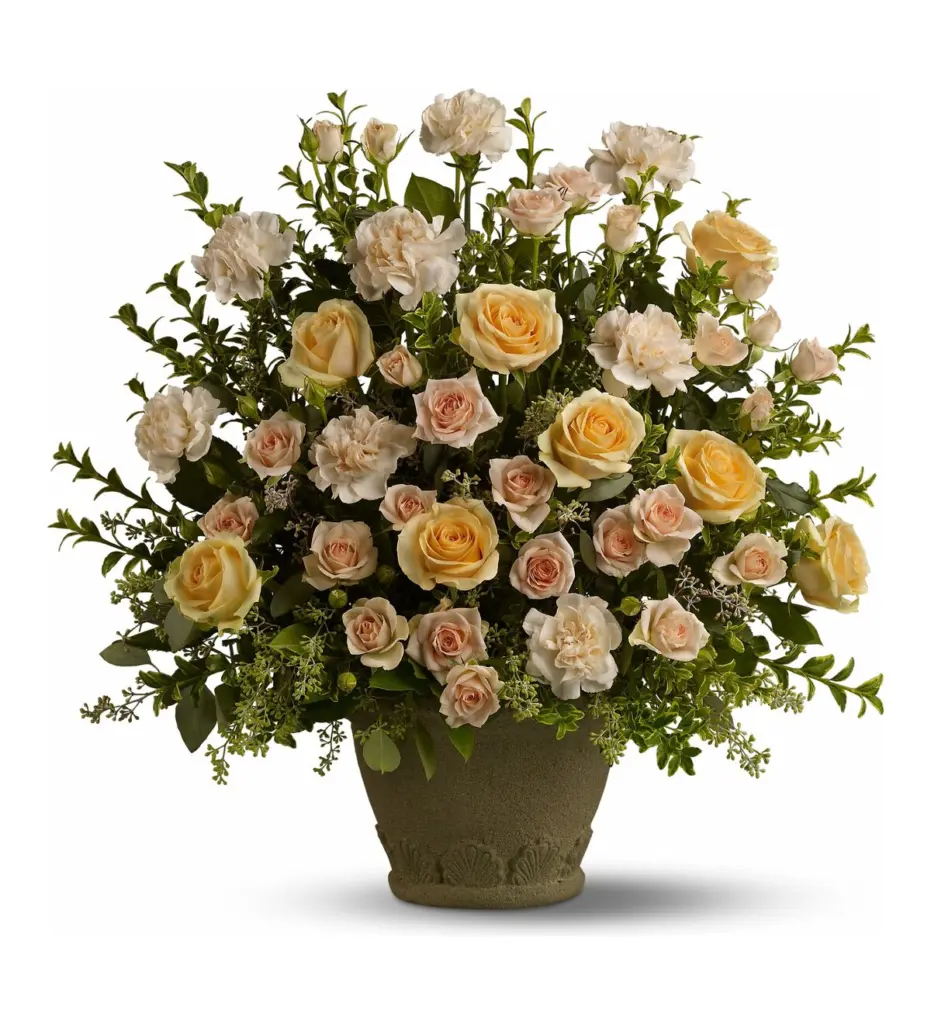 Peach roses and cream carnations in an olive stone-look pot with greenery